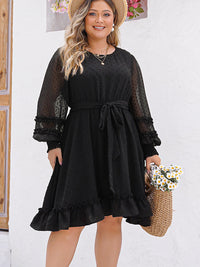 Plus Size Swiss Dot Round Neck Long Sleeve Dress